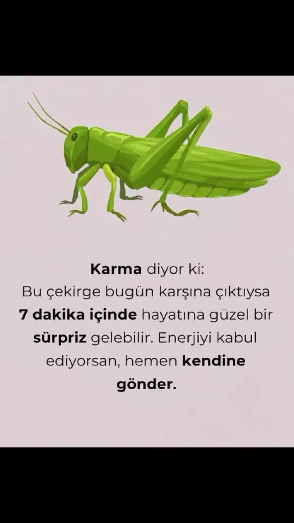 @𐙚𝑬𝒎𝒊𝒏𝒆☆