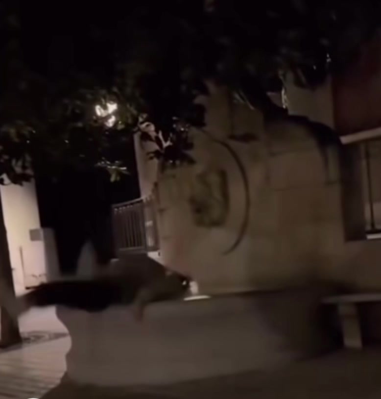 @Lucien