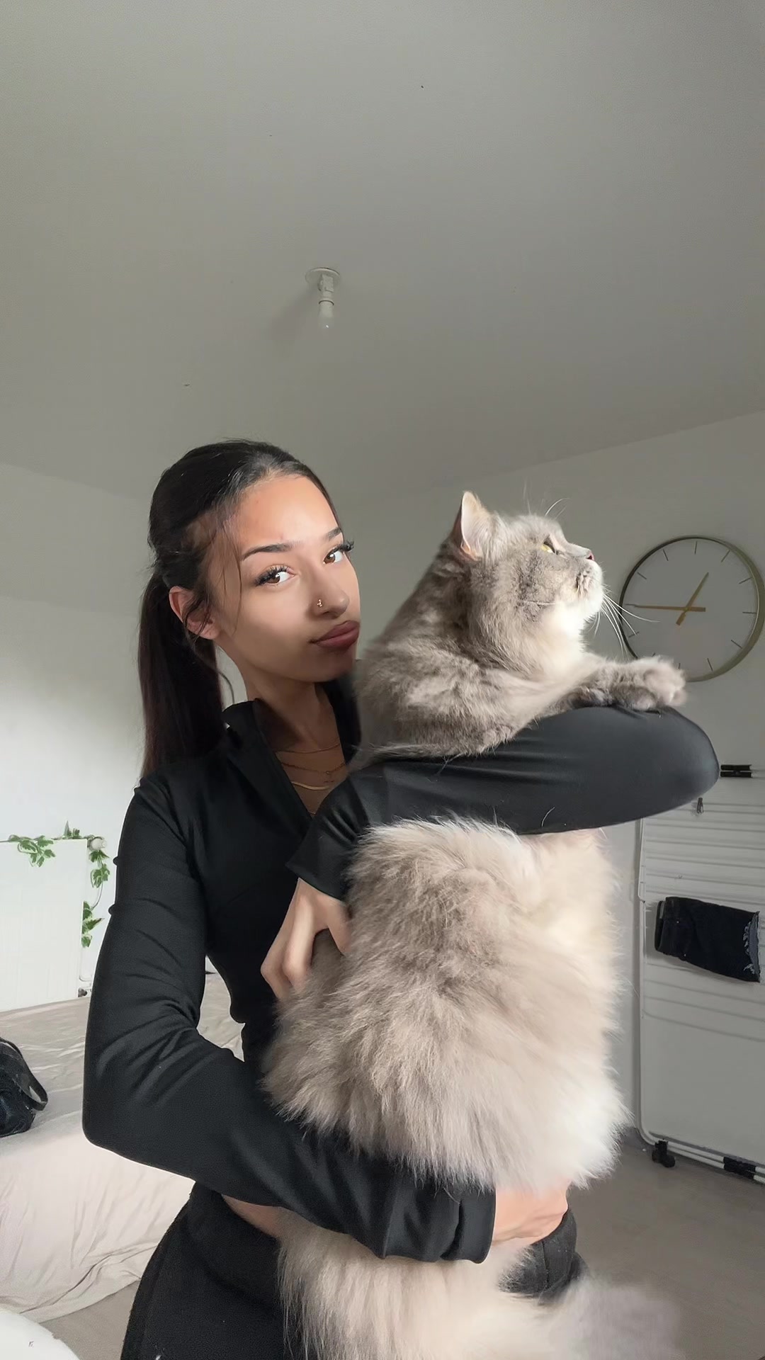 @𝐉𝐎𝐘𝐂𝐄