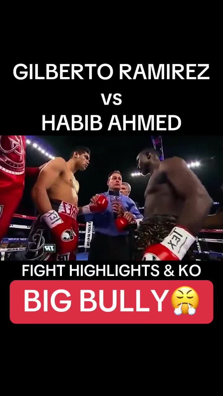 @Rapid Boxing