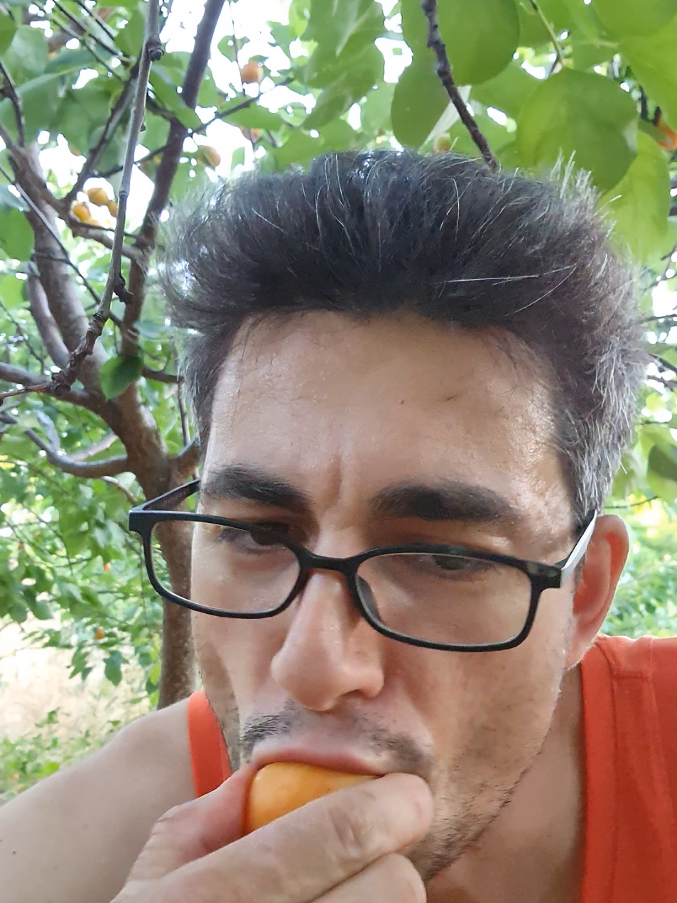 @Bogdan Hriscu