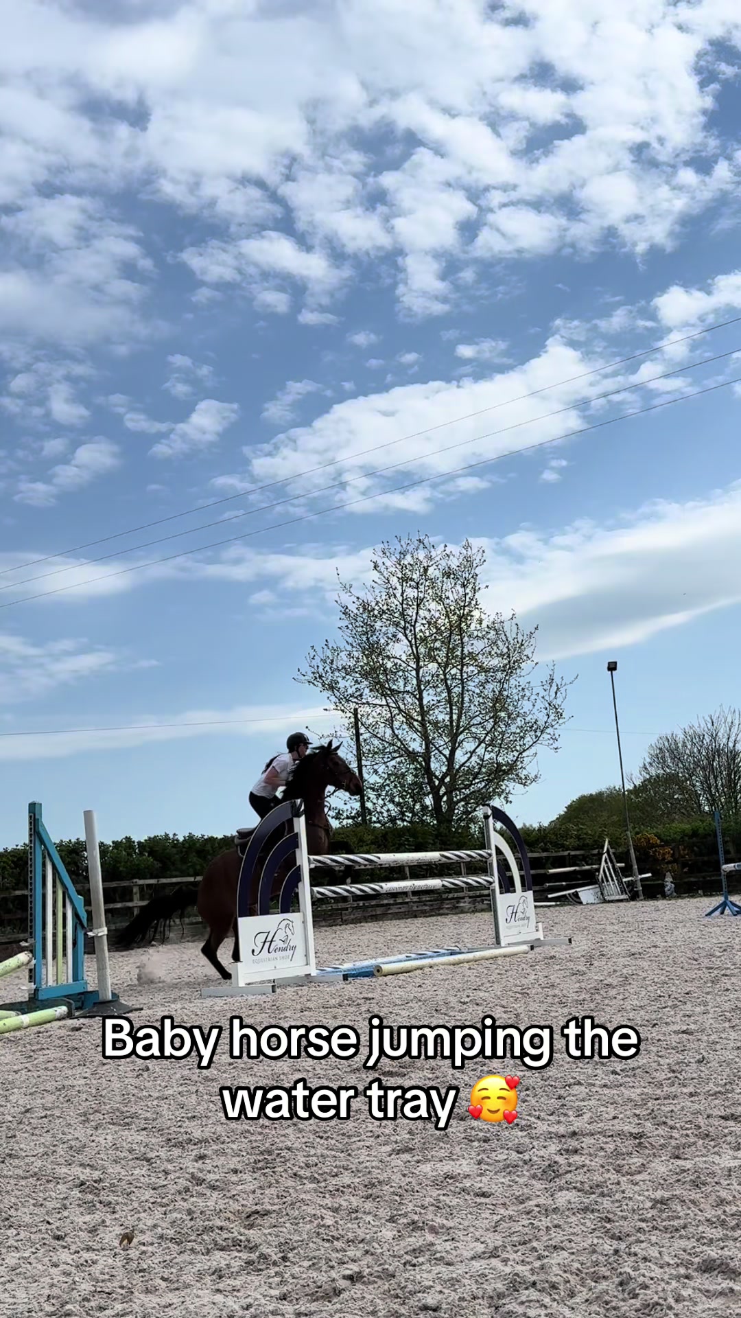 @RavenSide Equestrian