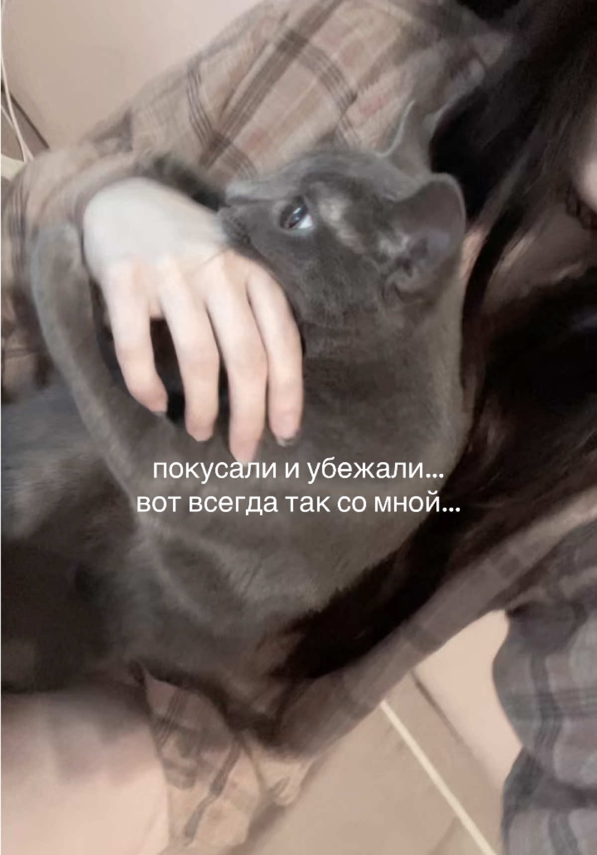 @sldkfk