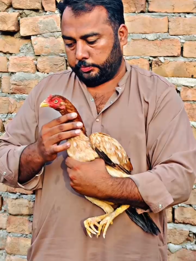 @اشفاق چوہدری 🌺