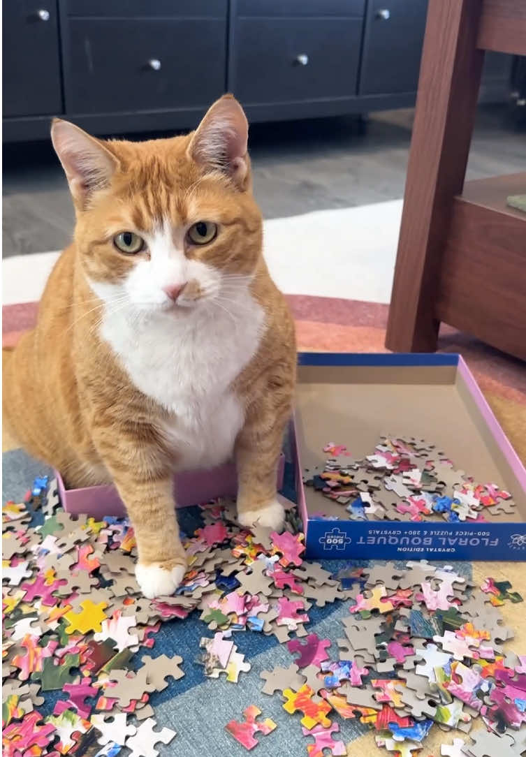 @Chewy