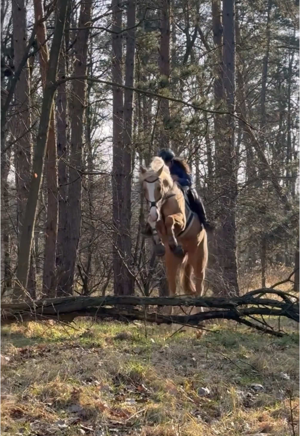 @TA OD BAJKAŁA✌️🥒