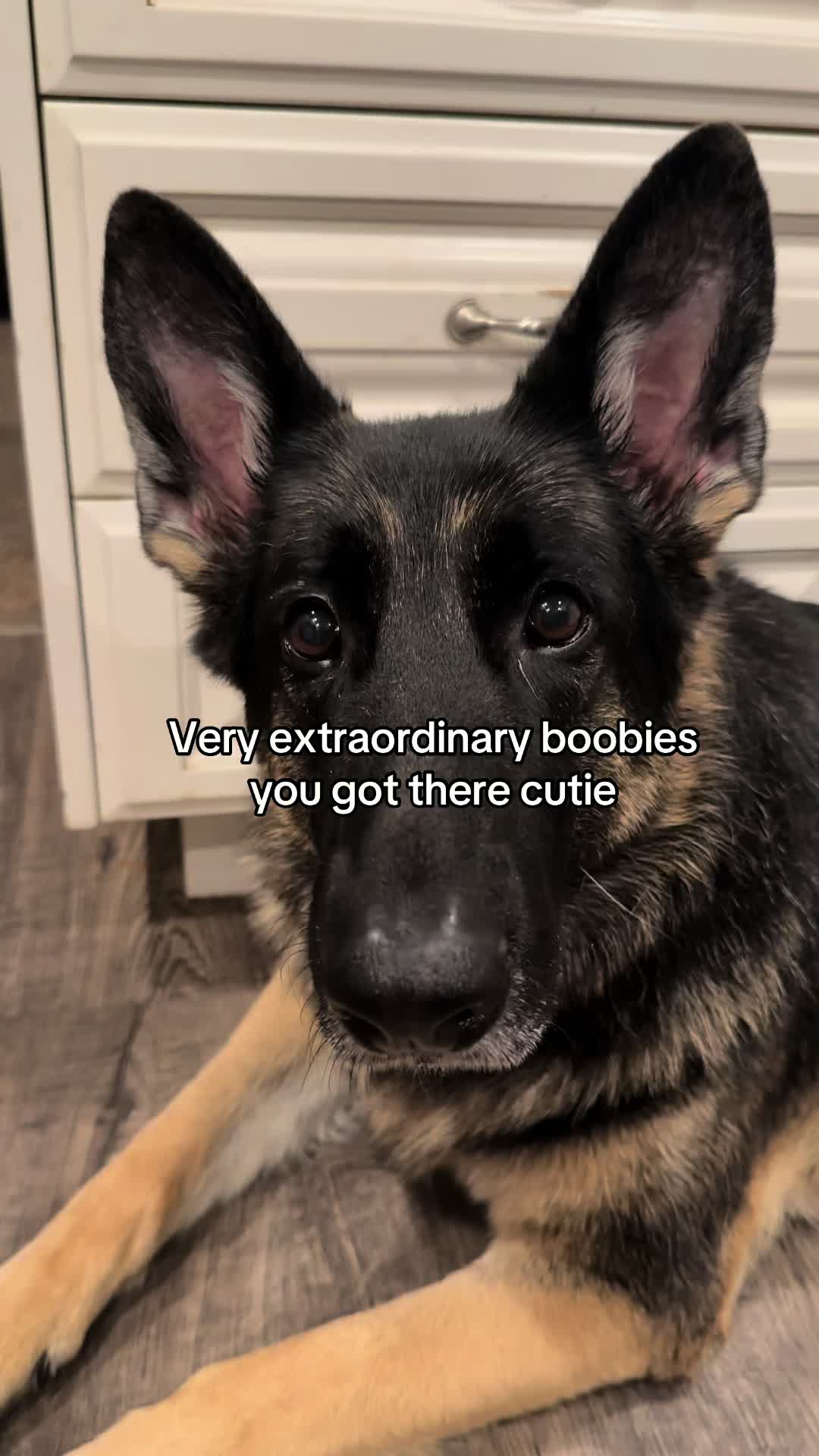 @Bhris