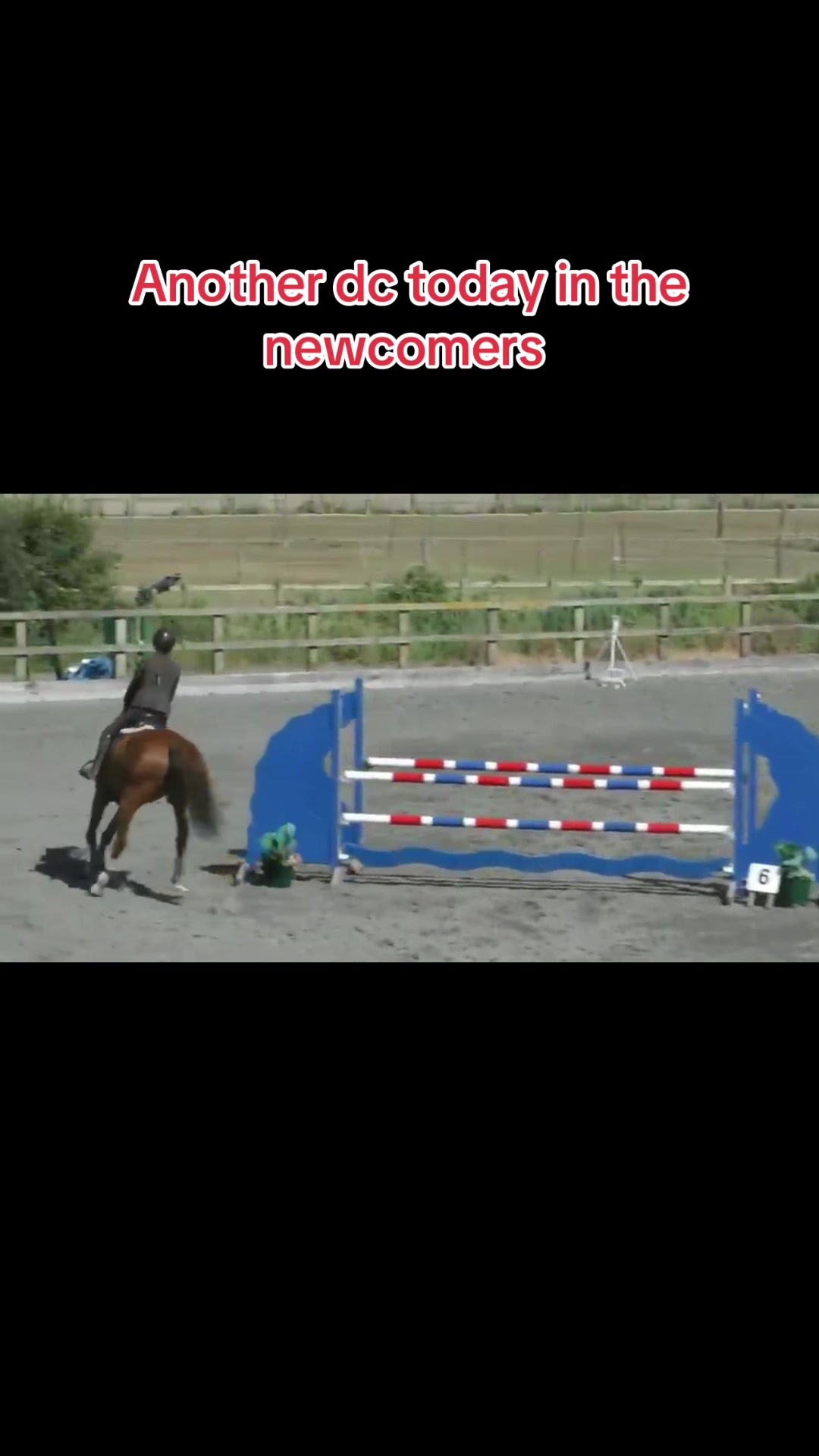 @Ronnie moore's showjumping