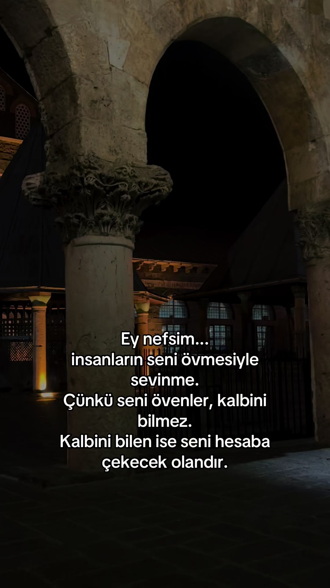 @___mysee