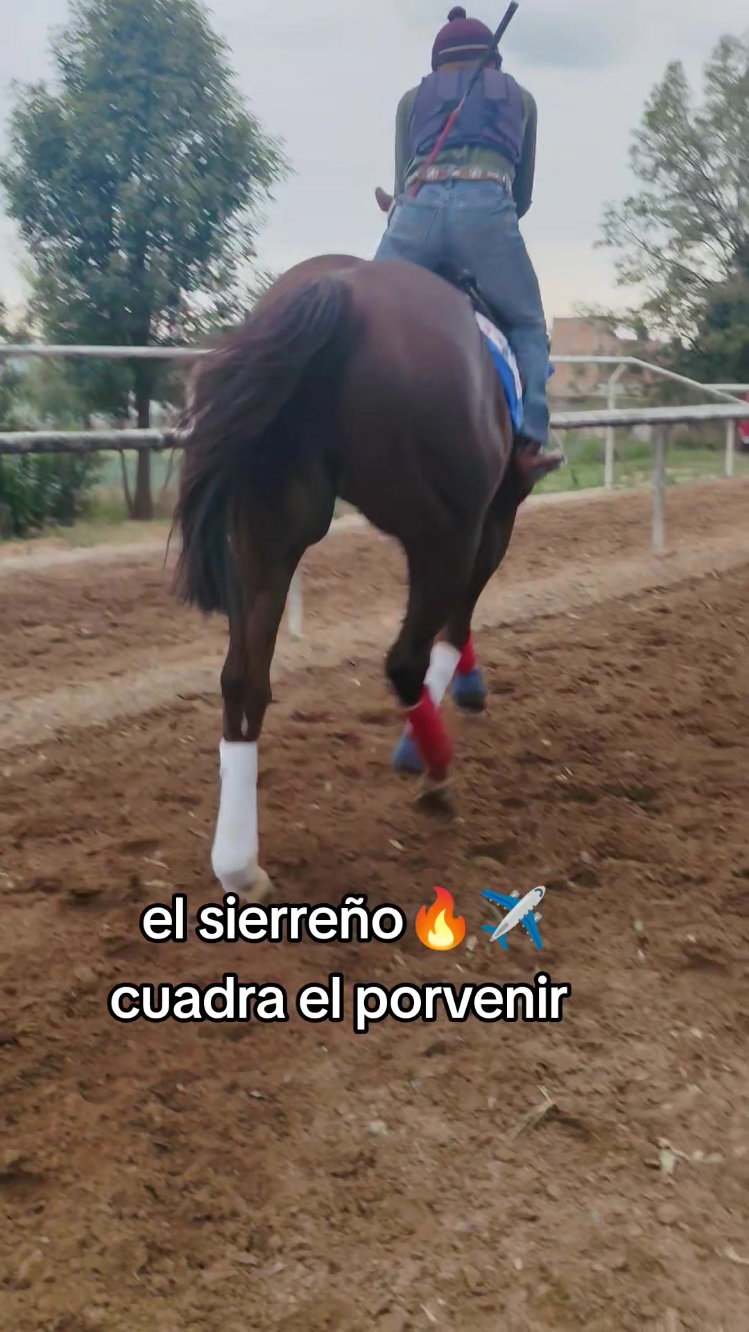 @carriles altos de jalisco🐎