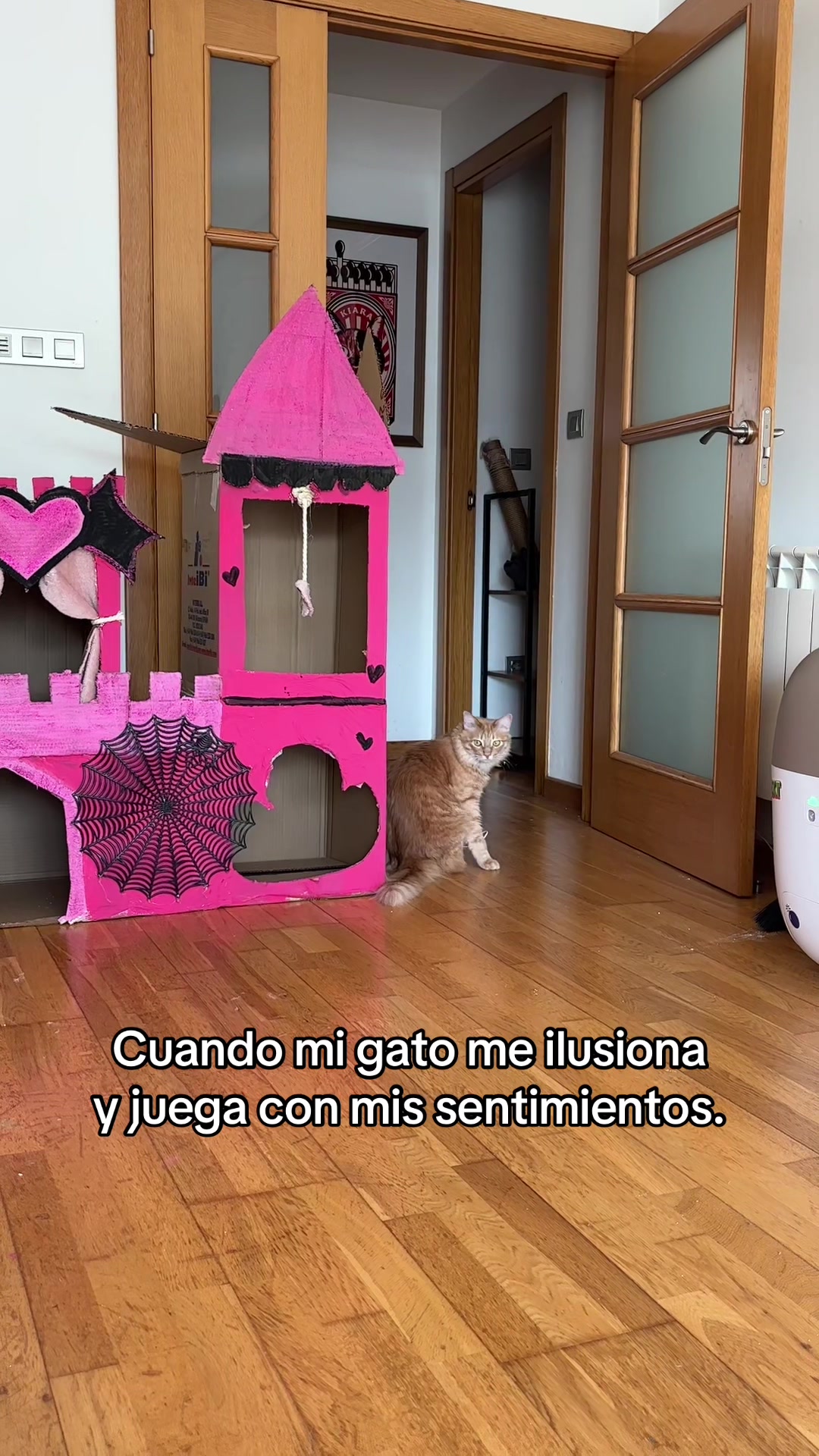 @- Alejandra  🐱💕