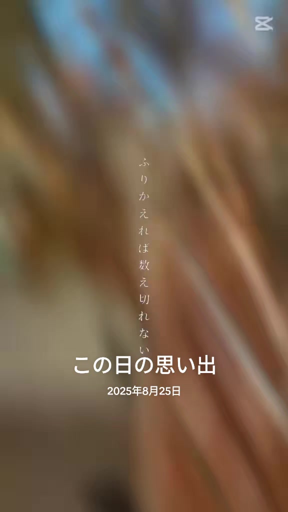 @ゆりちゃん🌠🌠