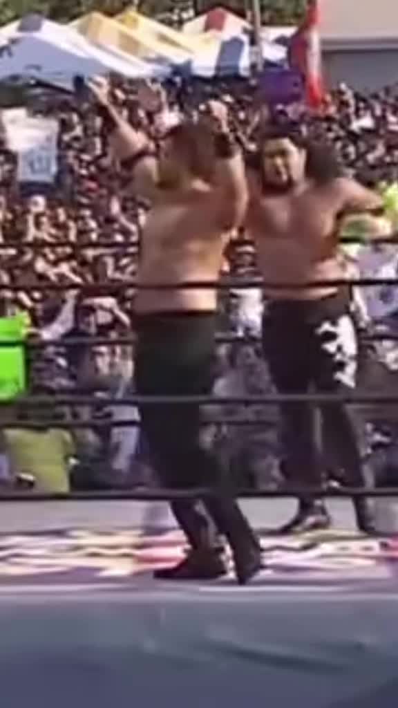@Ultimate Wrestling Fan Warrior