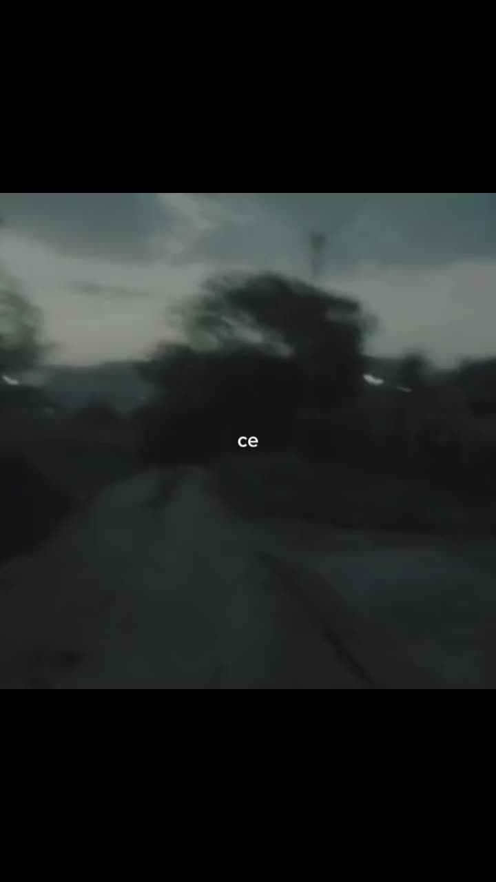 @🕷️🕸️
