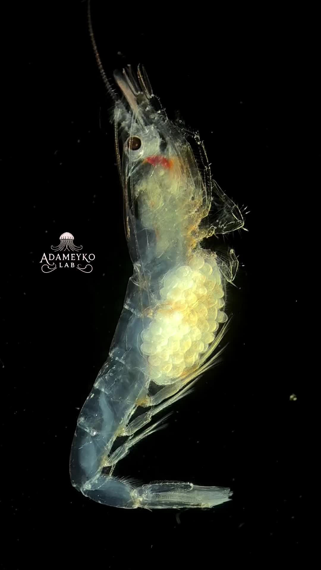 @The_story_of_a_biologist