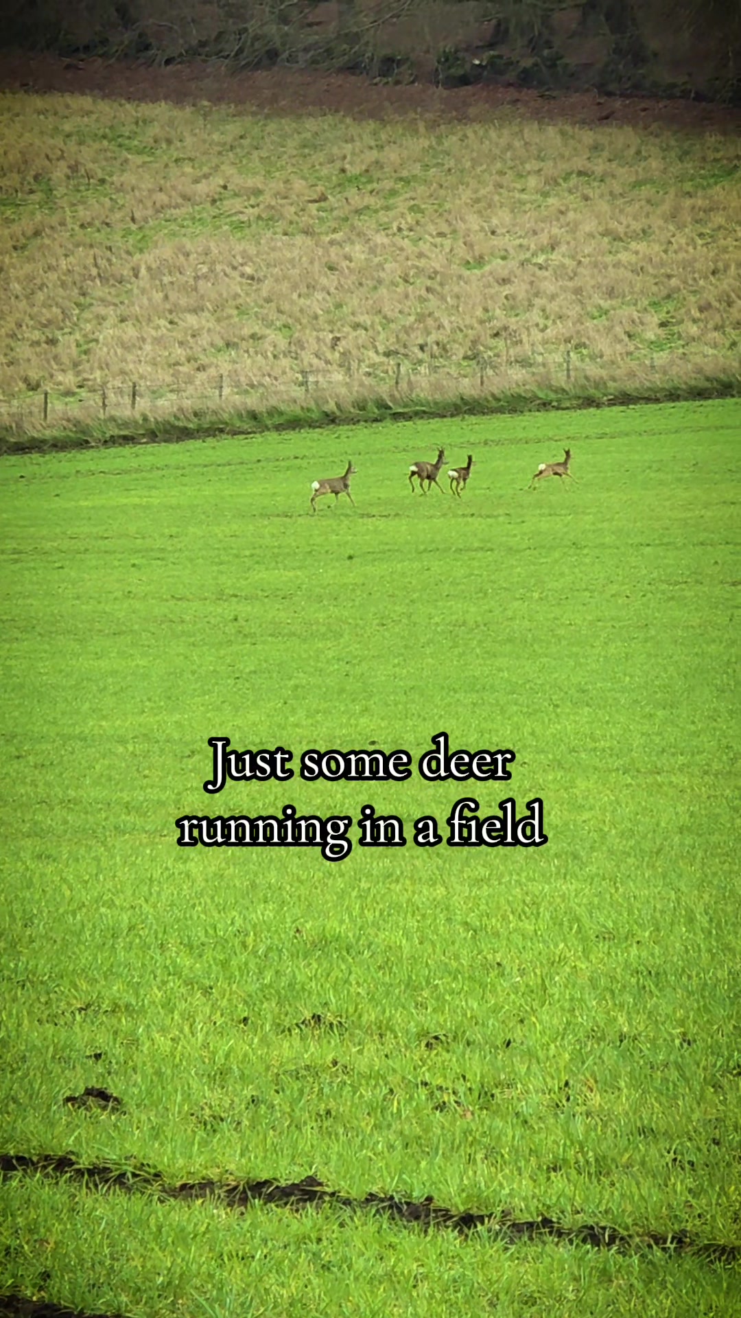 @JamesSharkey