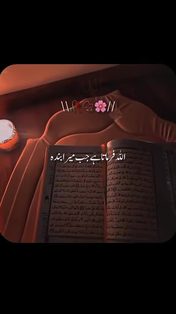 @usman Mehar 💞
