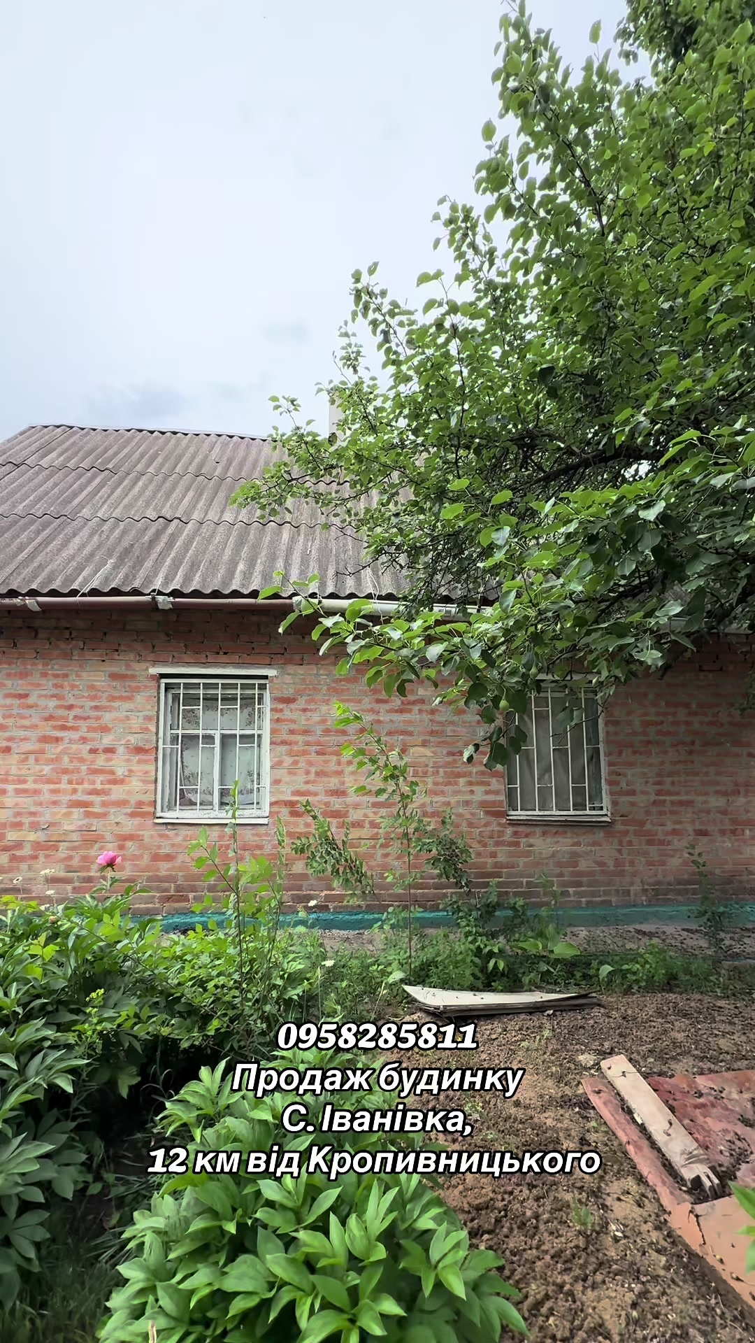 @Ріелтор Юлія Кропивницький