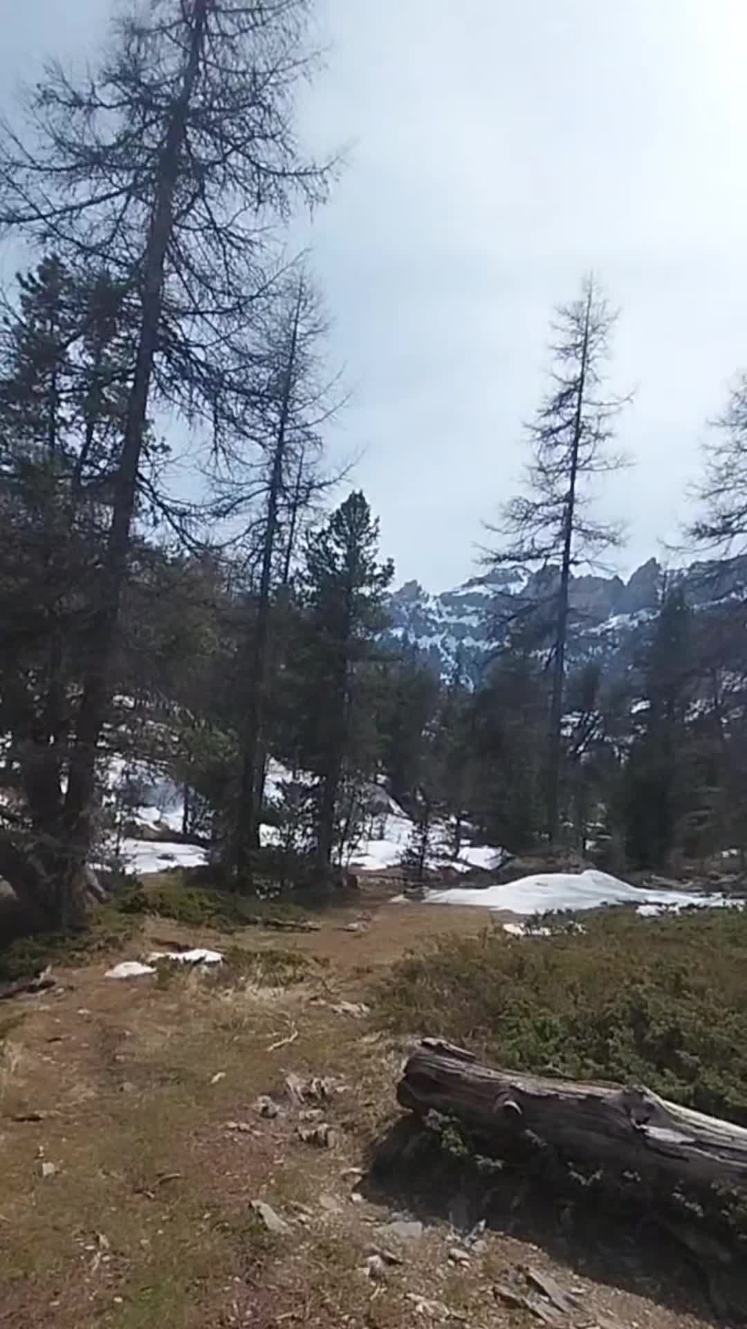 @wolfthebest