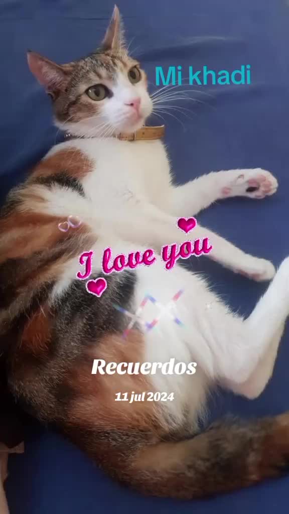 @rubioveronica_11
