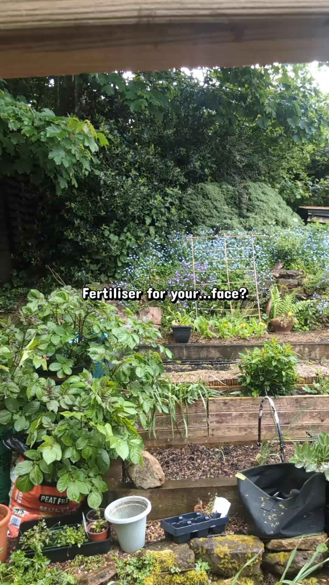 @Steady Going Gardener 🌸🌿