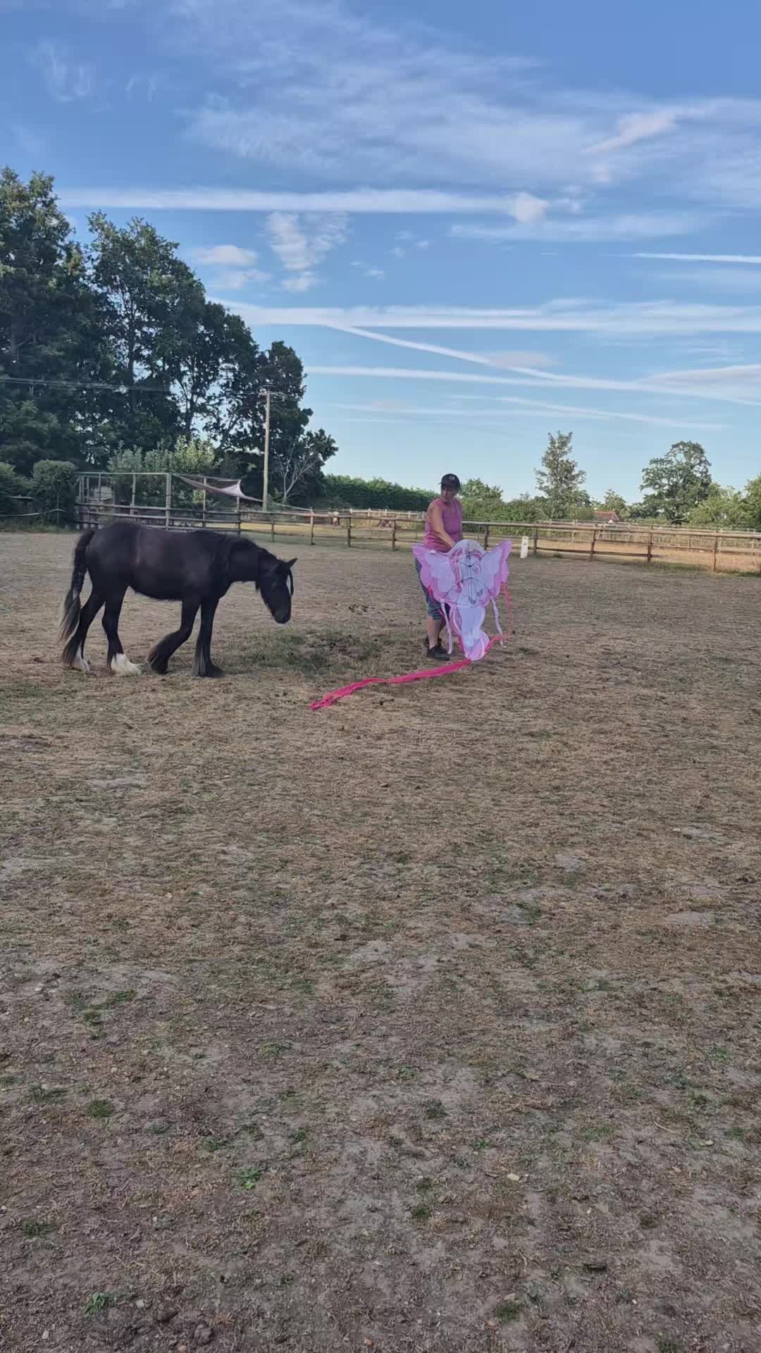 @KcPonyPals