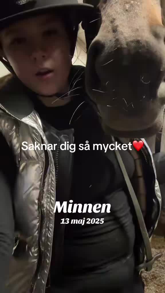 @Tintin Giljarås❤️