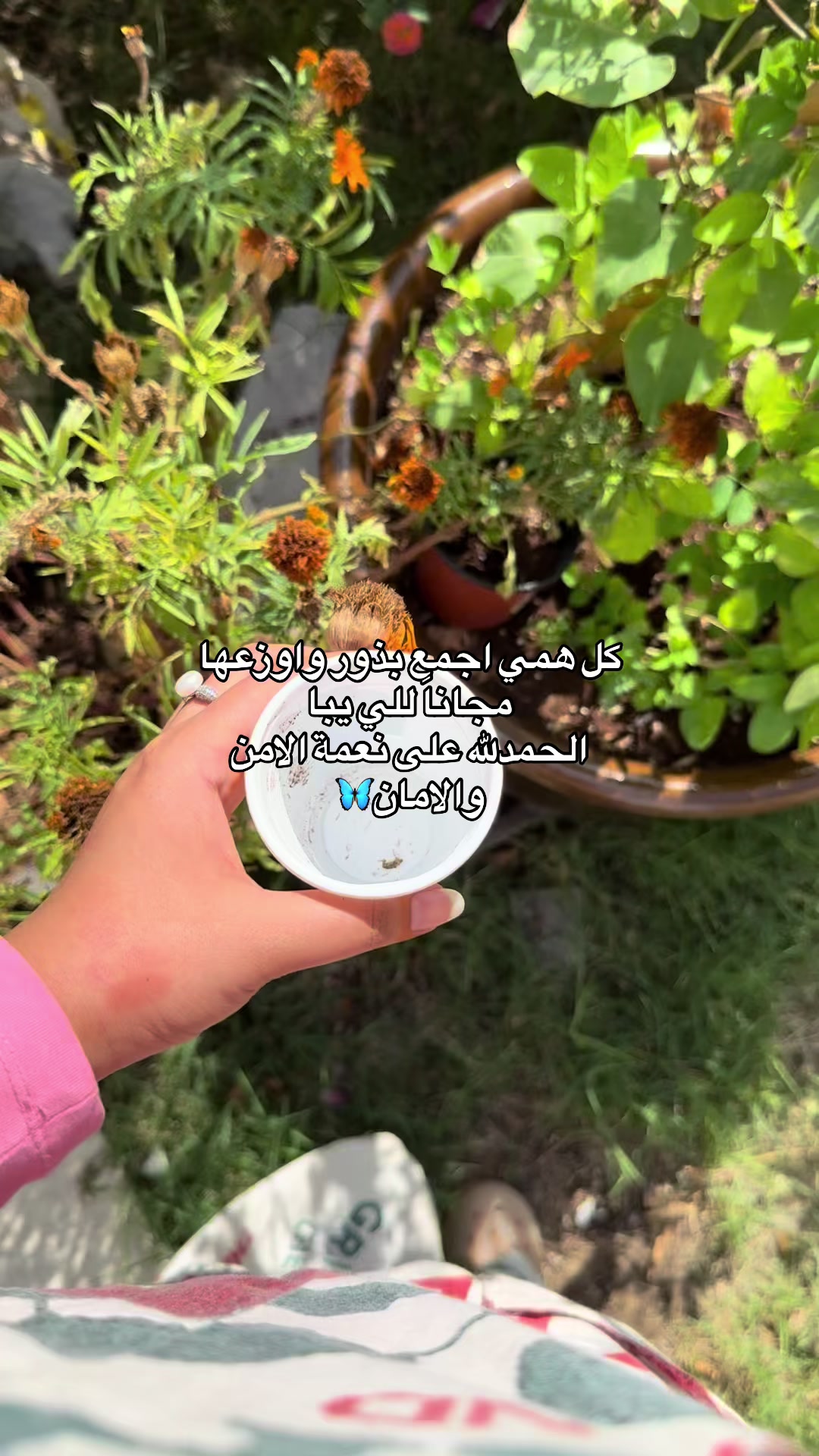 @عالم سرور🌿