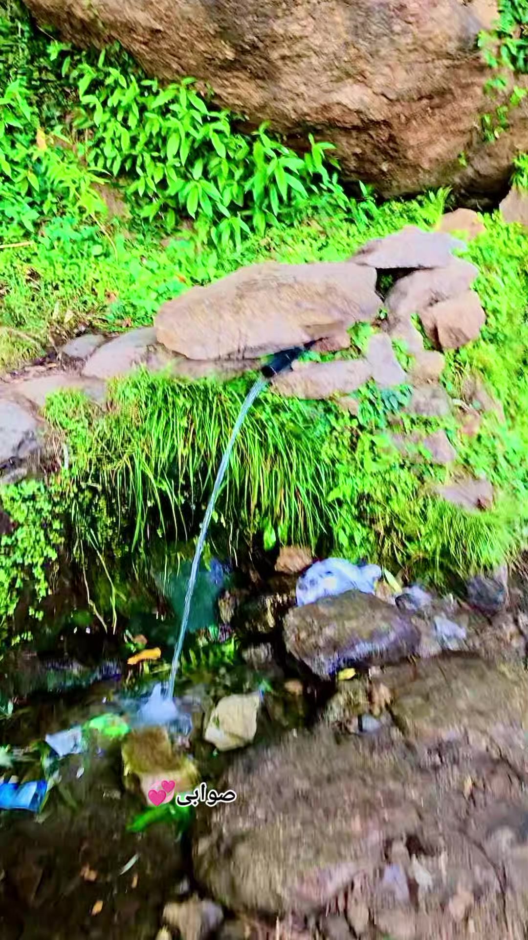 @☆𝐒𝐖𝐀𝐁𝐈__𝐆𝐀𝐃𝐎𝐎𝐍☆