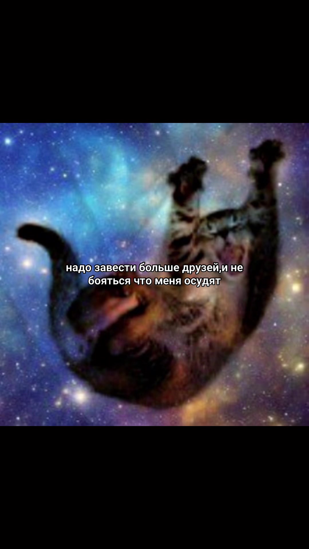 @🐈&zwj;⬛