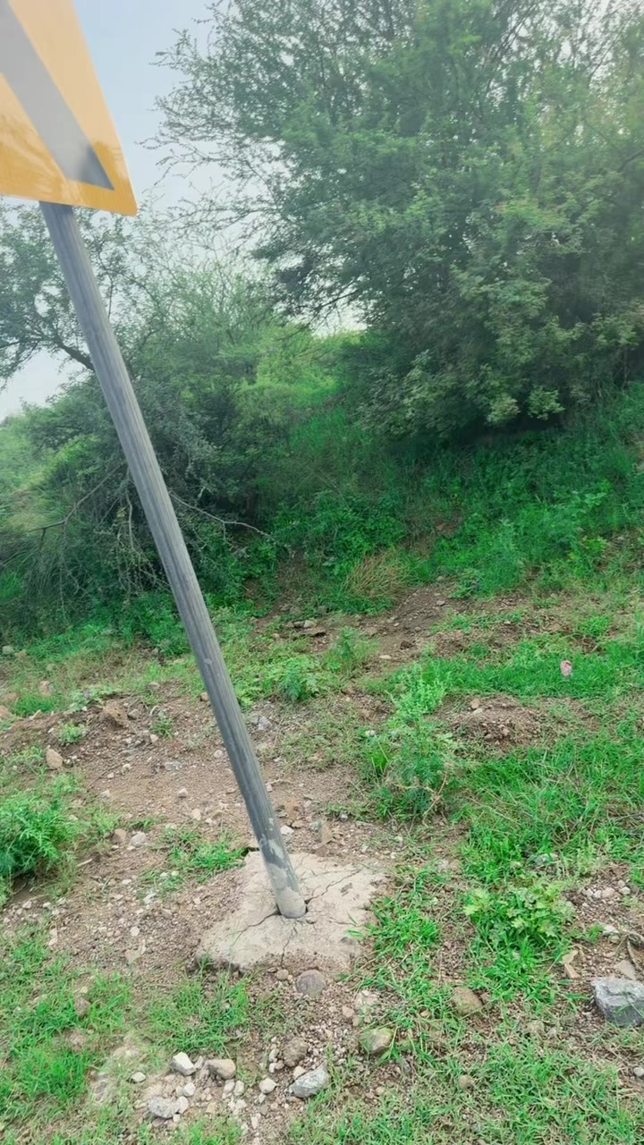 @sajidnihalka923