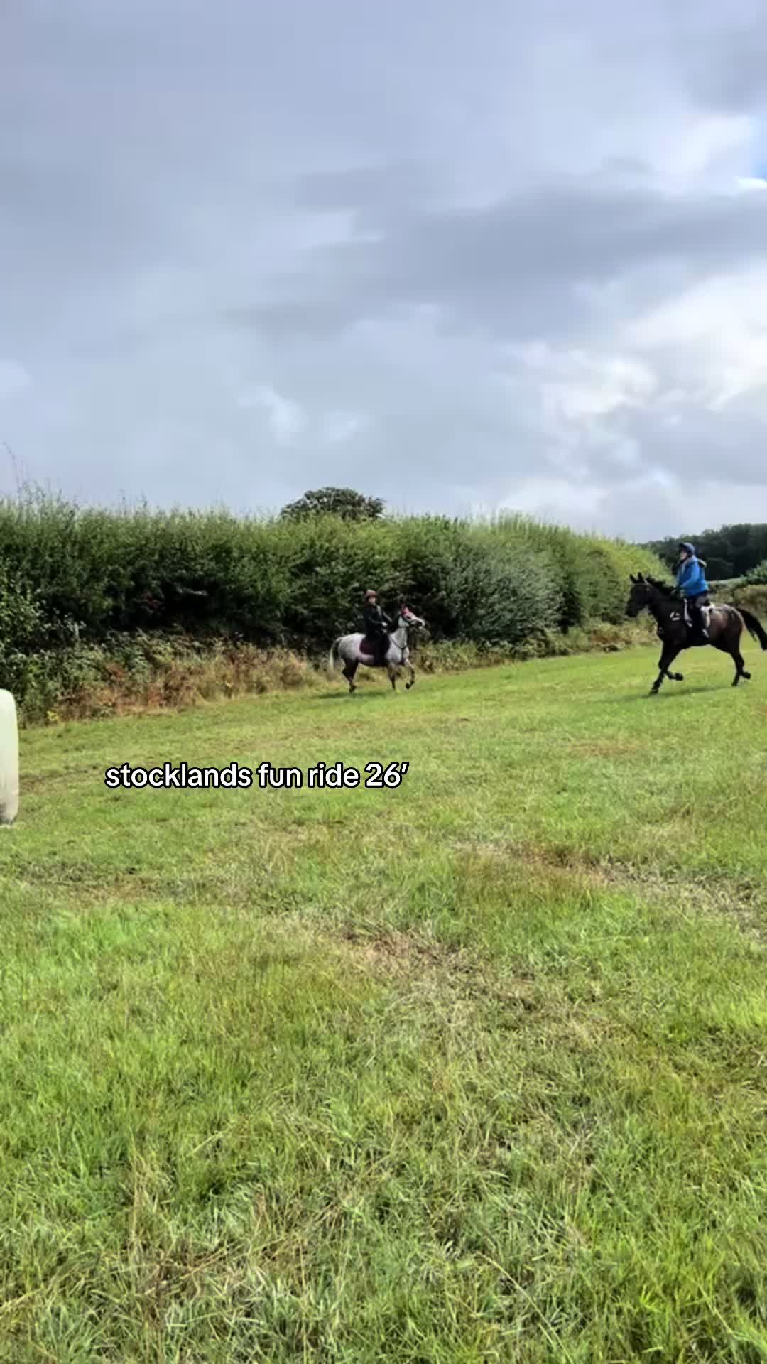 @poppy 🌾🐴 🇬🇧