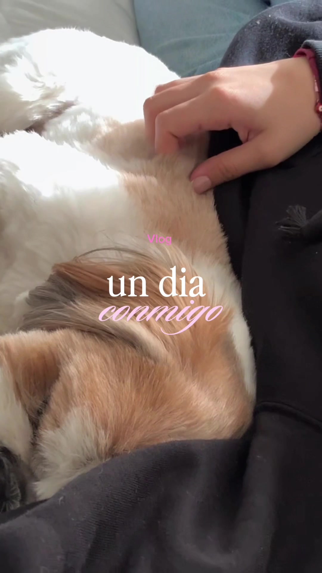@𝐸𝓊𝓇𝑜𝓅𝒶 ᥫ᭡