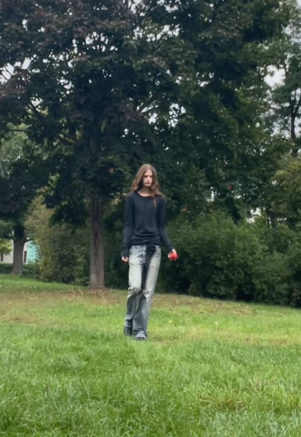@grishaaasg
