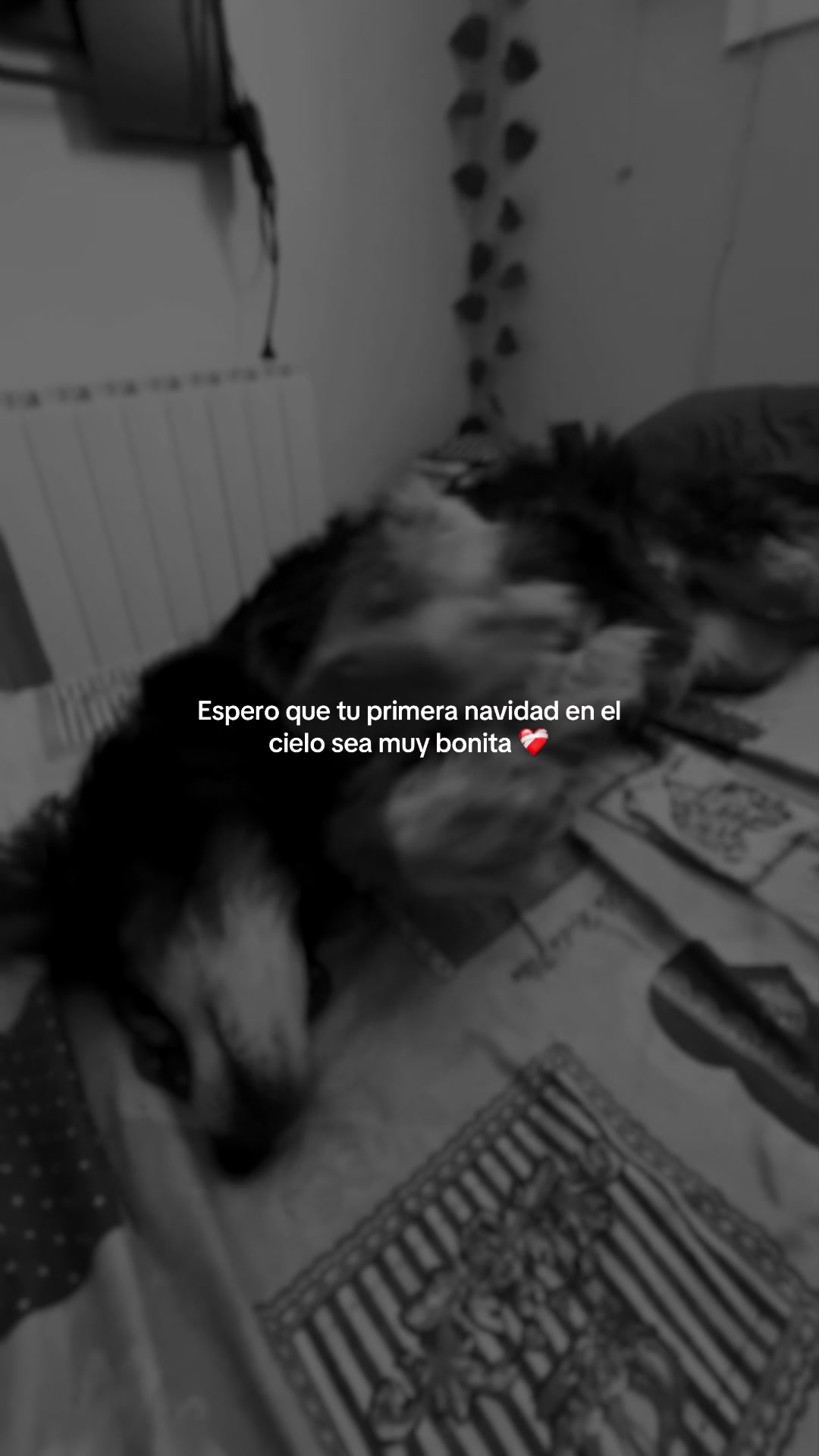 @Miriam Andrades
