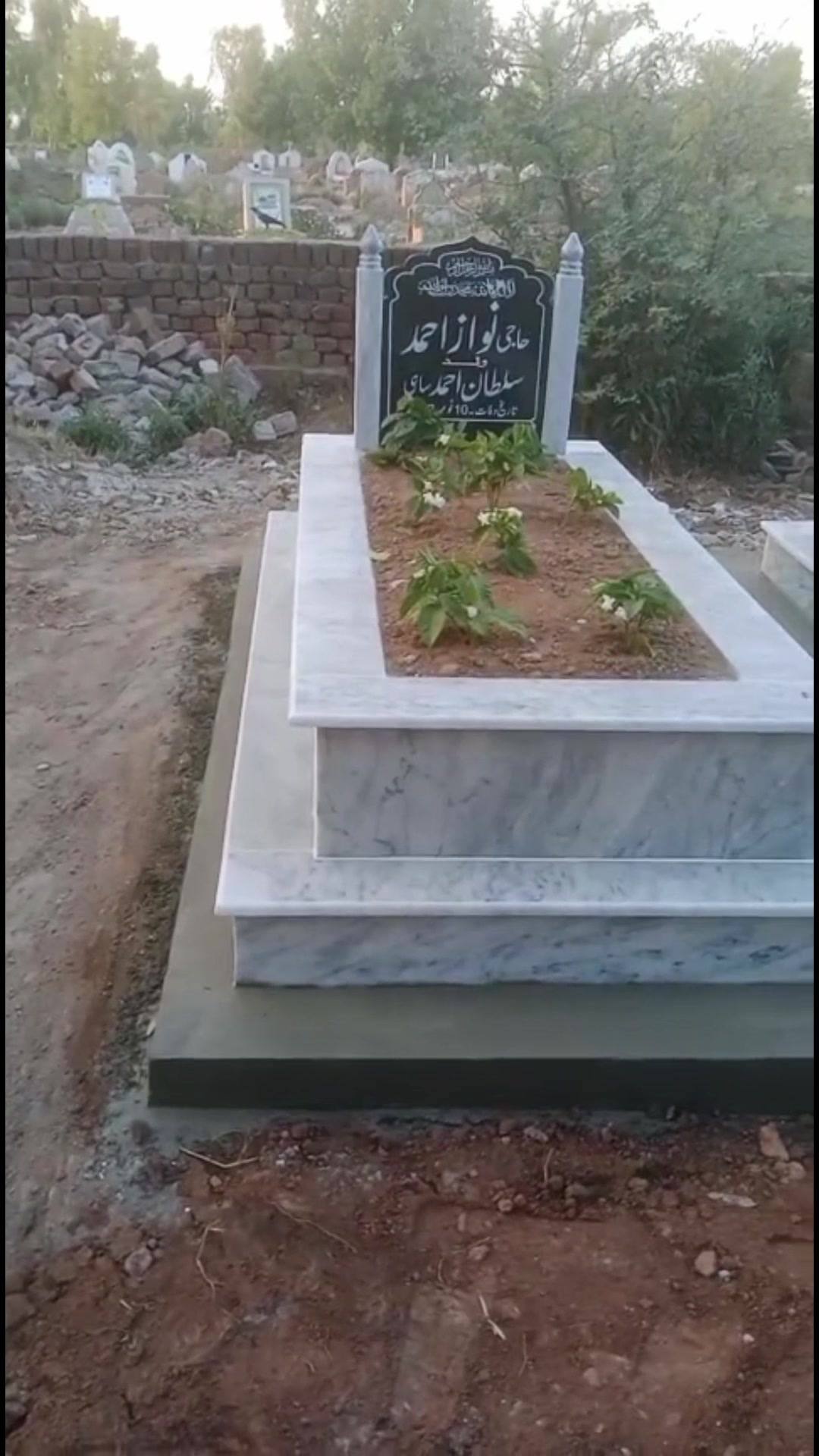 @Sanwal Sahi✅