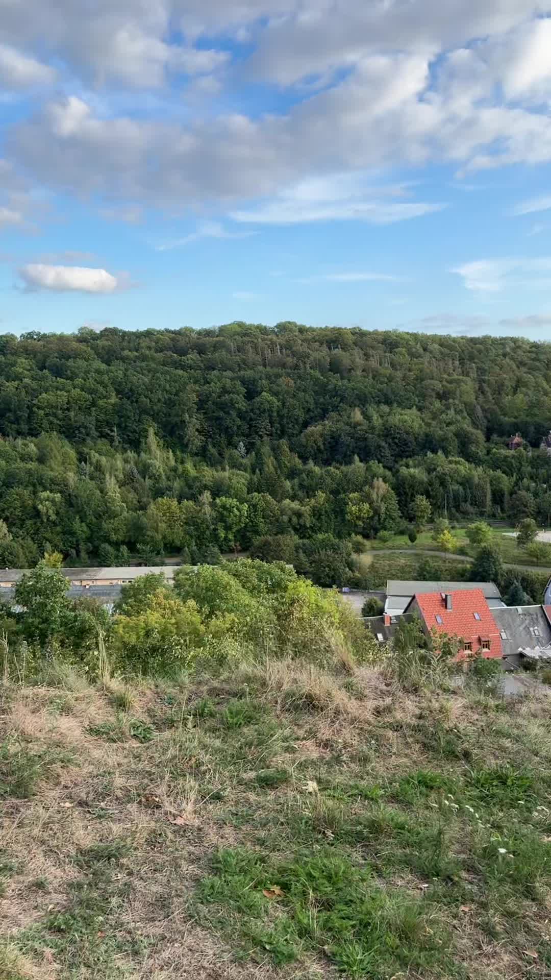 @Elisei