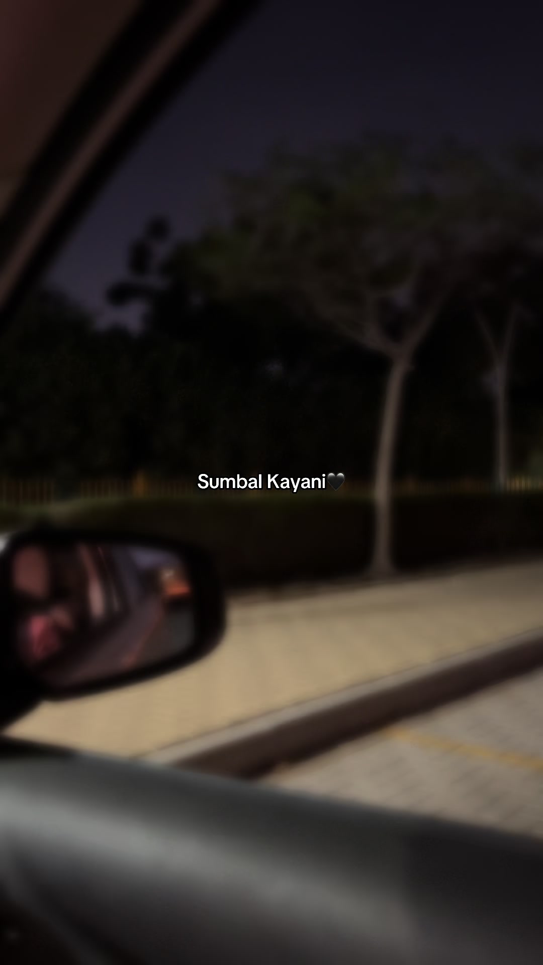@Sumbal Kayani🦋