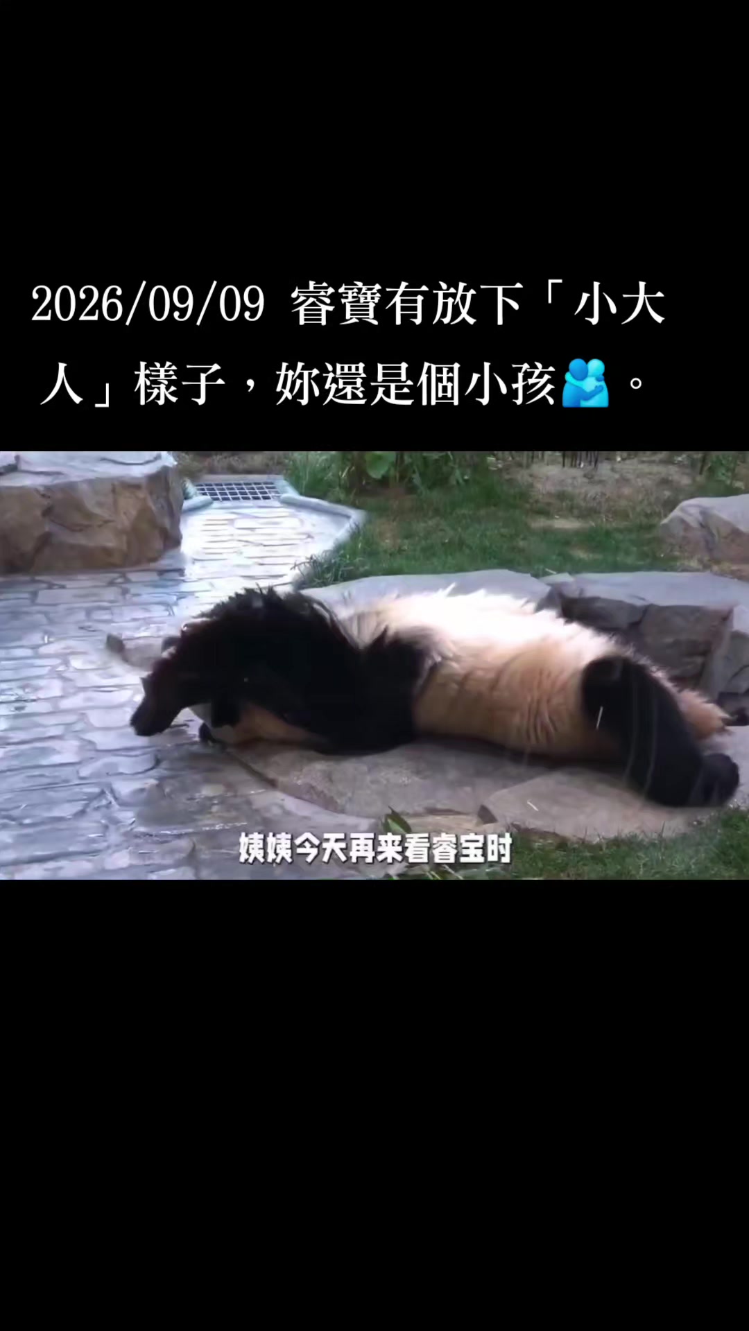 @福寶需要愛的抱抱