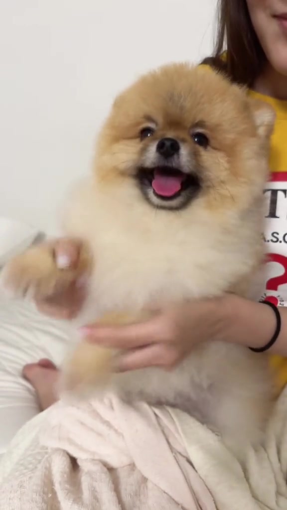 @チャック🐶