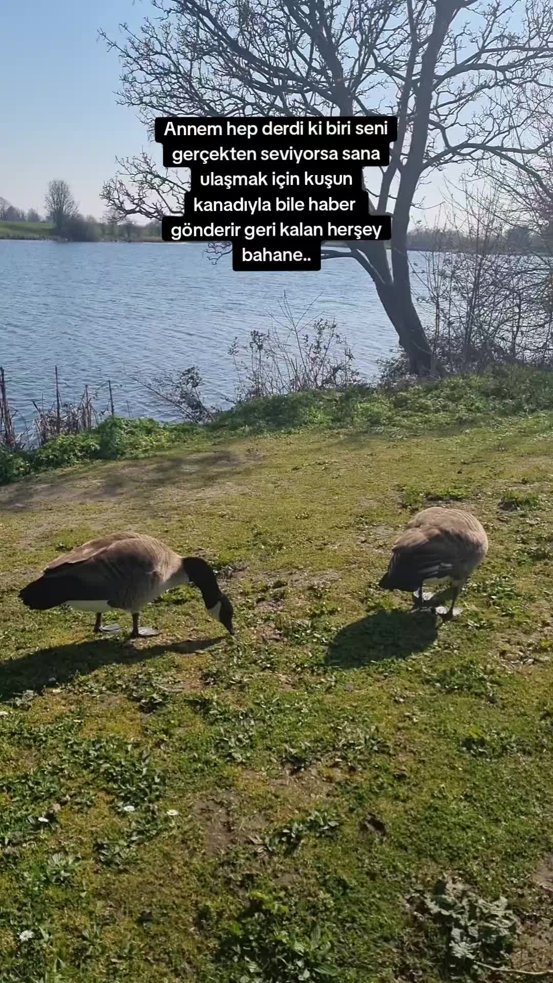 @Ay__nature