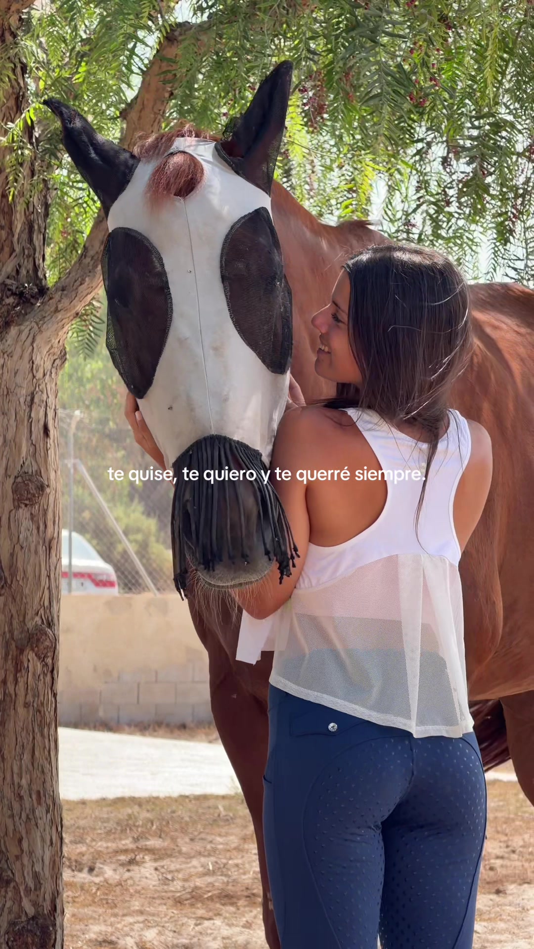 @MyHorse