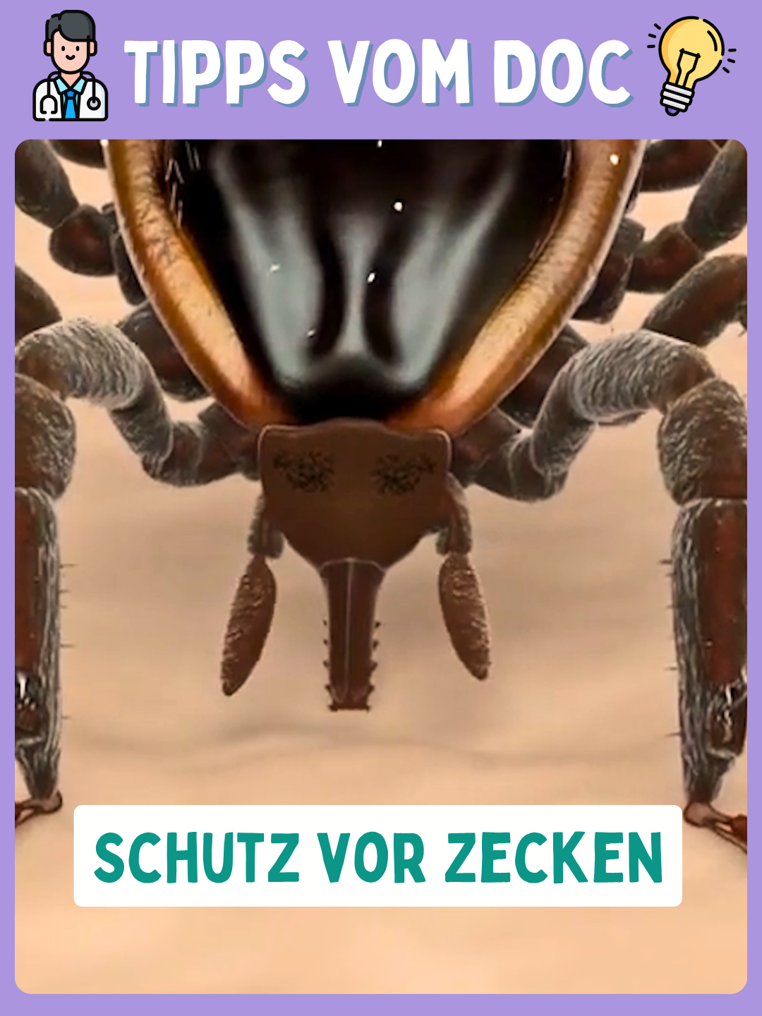 @Hand, Fu&szlig;, Mund