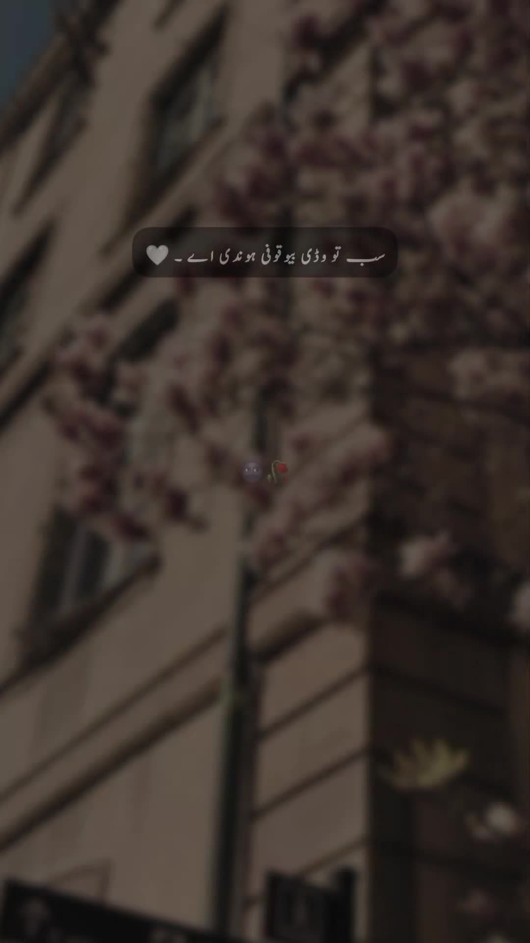 @𝐒 𝐚 𝐌 𝐢 🍂🫀