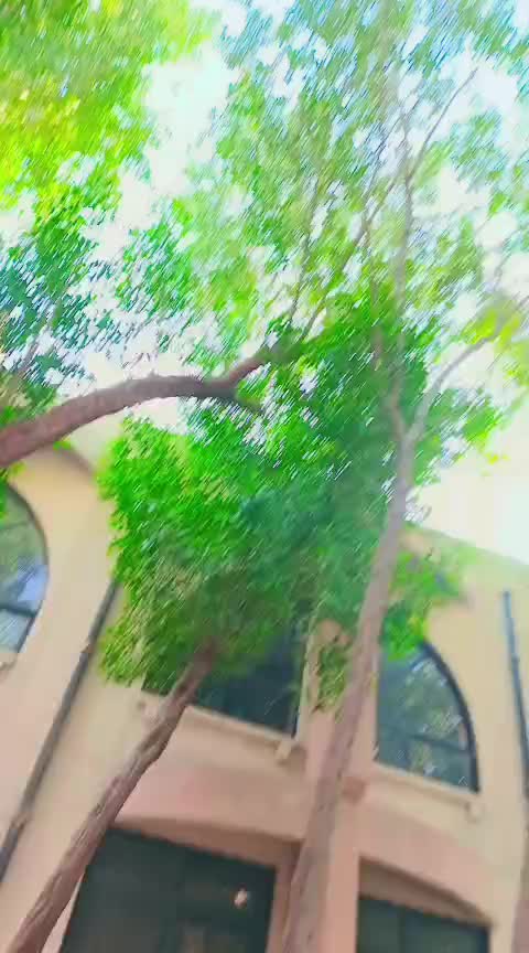 @Shikari.گرمانڑیں