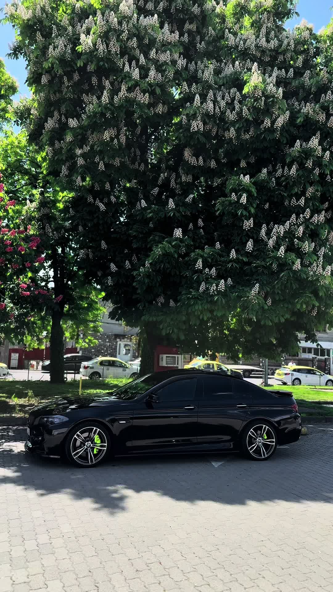 @A D E L I N N N