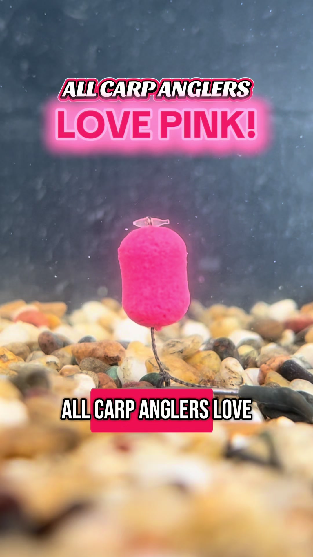 @CarpAddict