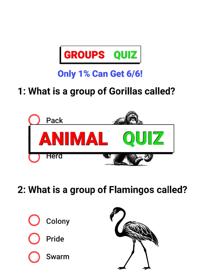 @Brain Empire