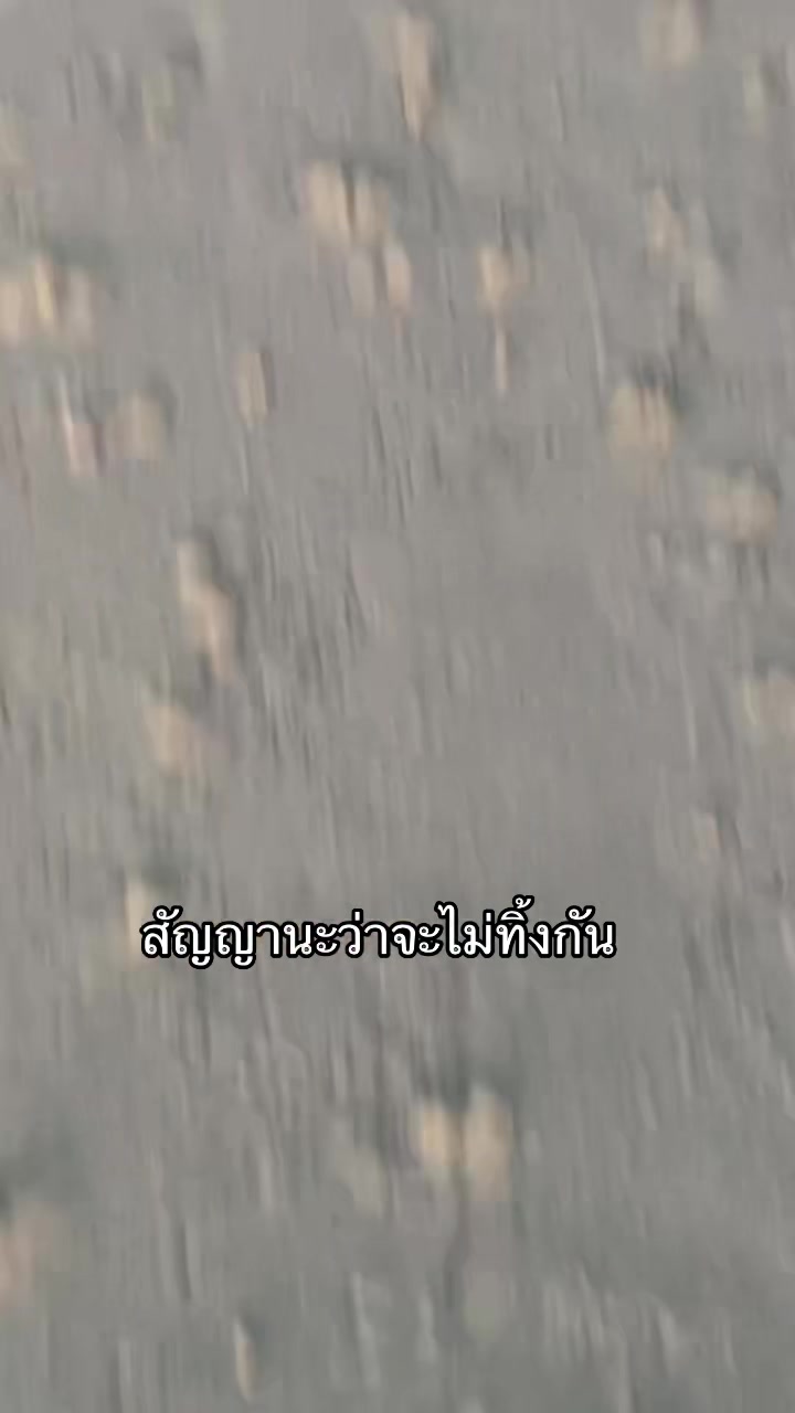 @𓆝 𓆟 𓆞 𓆝 𓆟