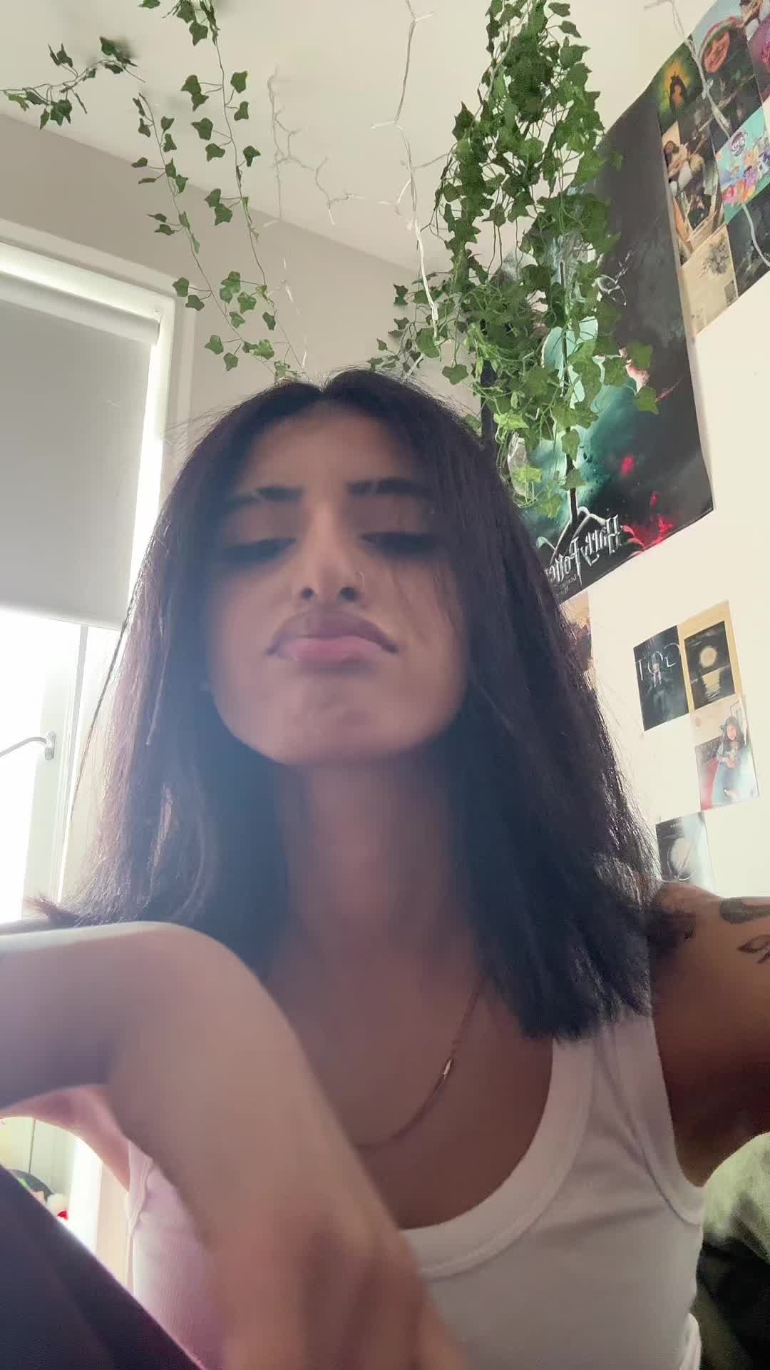 @laibubu